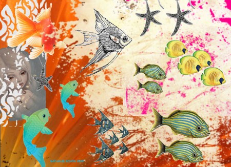 poissons